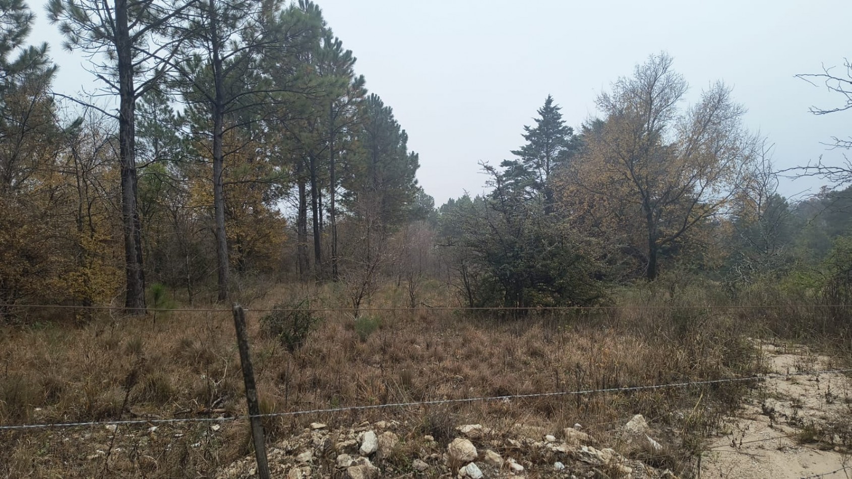 Campo en Los Reartes