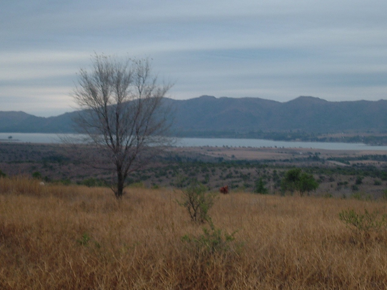 Campo en Los Reartes