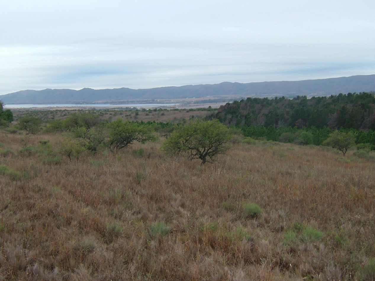 Campo en Los Reartes
