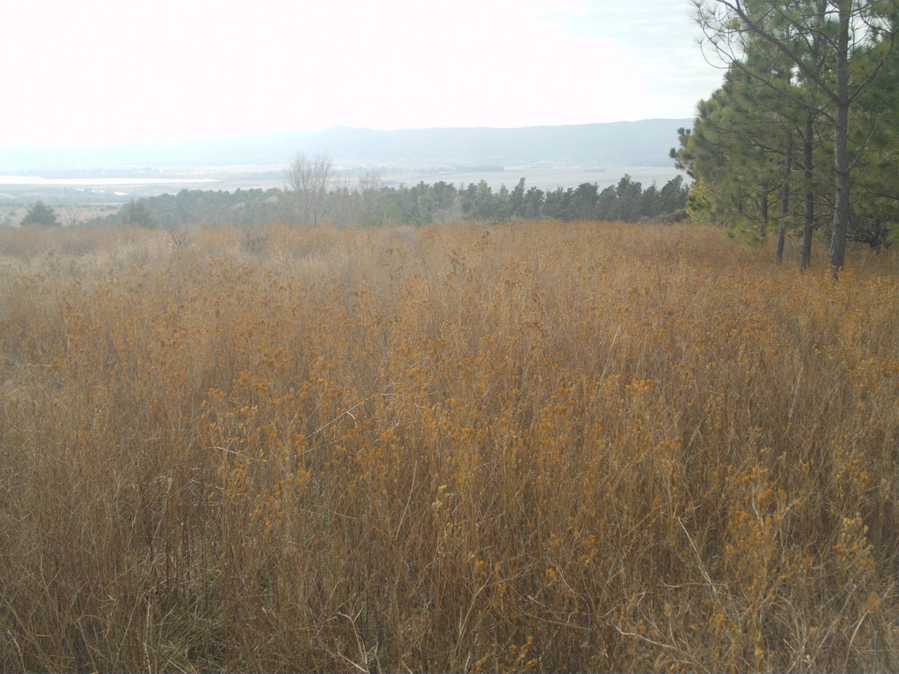 Campo en Los Reartes