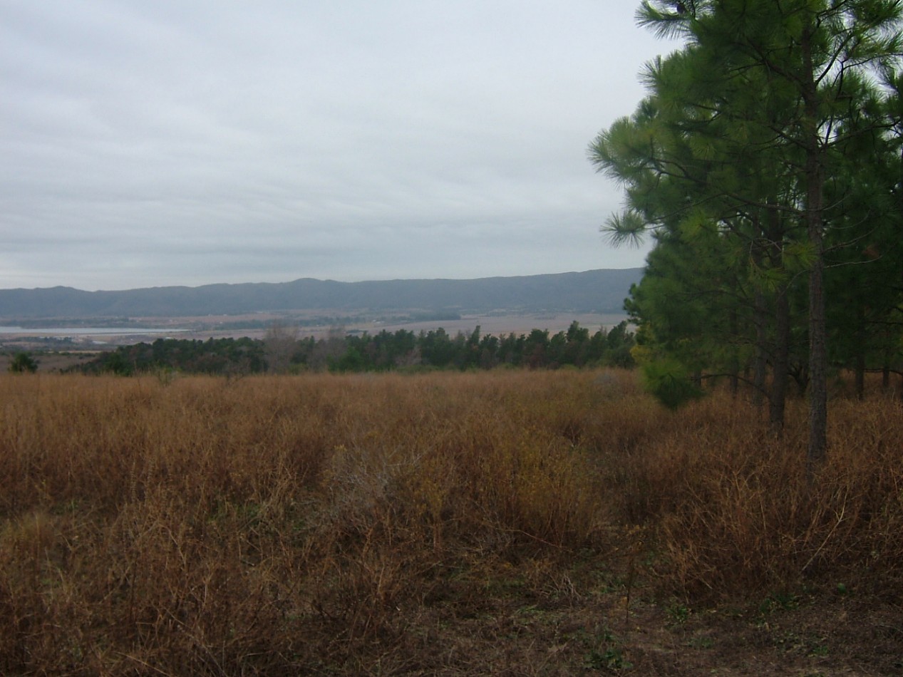 Campo en Los Reartes