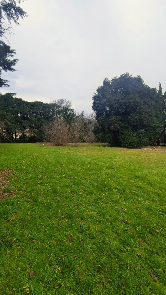 Terreno en esquina
