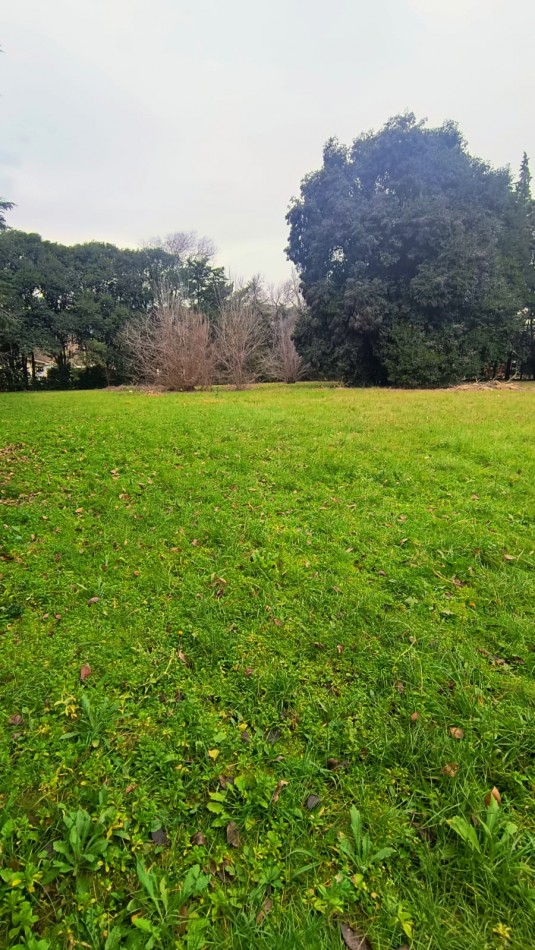 Terreno en esquina