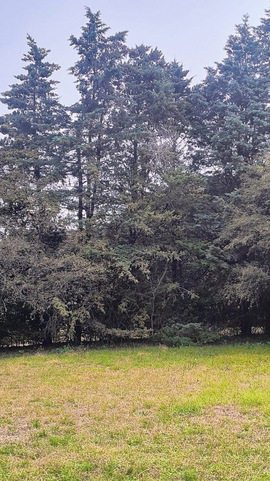 Terreno en esquina